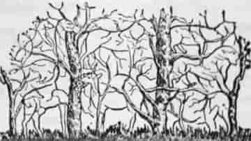 Optical Illusion: সাদাকালো ছবিতে গাছের শাখাপ্রশাখায় লুকিয়ে আটটা প্রাণী, দেখুন তো খুঁজে পান কি না
