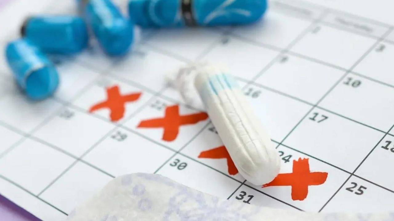 Menstrual Cycle: অনিয়মিত পিরিয়ডের সমস্যায় ভুগছেন? এই ঘরোয়া ভেষজেই নিয়মিত হবে ঋতুচক্র!