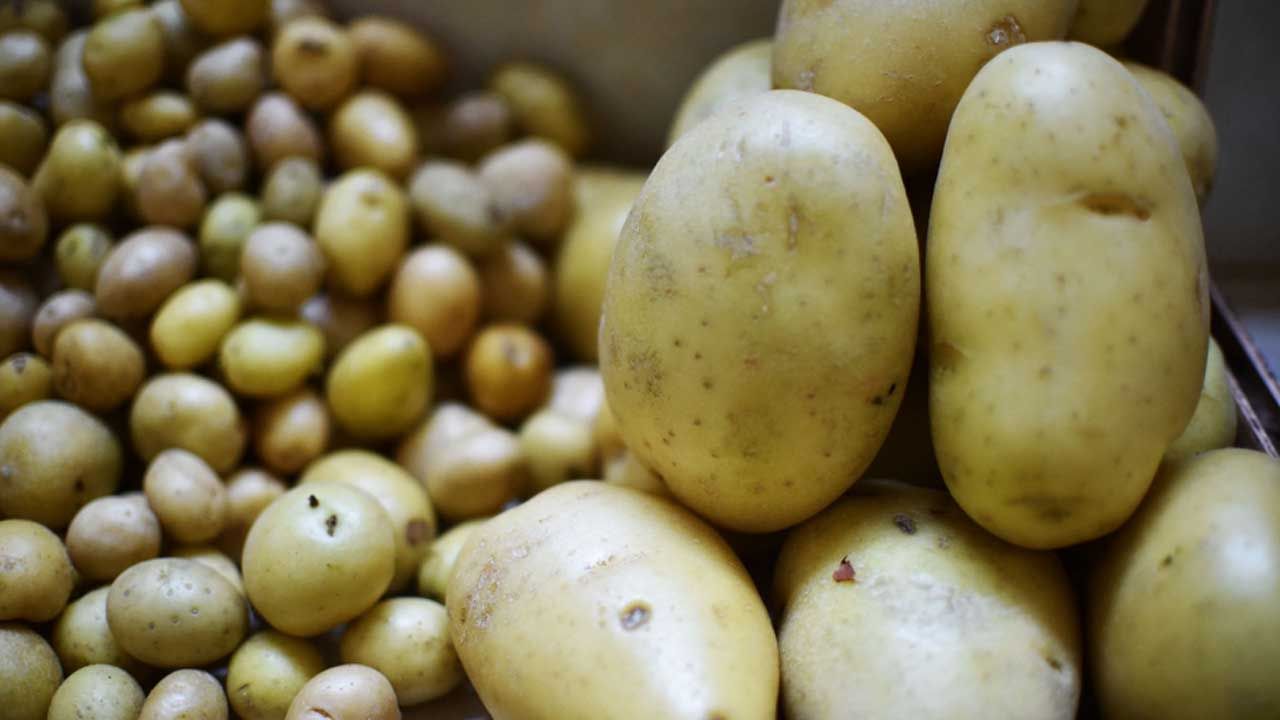 Potato Price: আলুর চড়া দামে কালঘাম ছুটছে, কবে কমবে? জানালেন মন্ত্রী