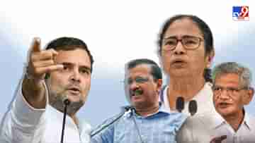 Congress Allies slam Rahul: আমরা কী নীতি-আদর্শ ছাড়াই দল চালাচ্ছি নাকি? রাহুলকে পাল্টা কংগ্রেসের বন্ধু দলগুলির