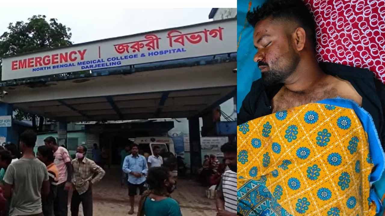 Uttar Banga Medical College Hospital: চরম গাফিলতি মেডিক্যালে! রোগীর কাটা ডান হাত নিয়ে হাসপাতালেই ঘুরে বেড়াচ্ছে কুকুর!