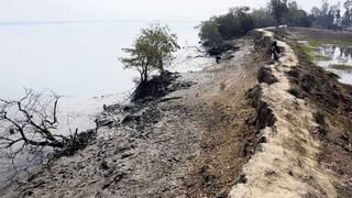 Sundarban Tiger Attacked: চোখ জলের দিকে, ঝুপ শব্দ শুনে পিছন ফিরে তাকাতেই সঙ্গীদের শরীর দিয়ে হিমস্রোত বয়ে গেল…