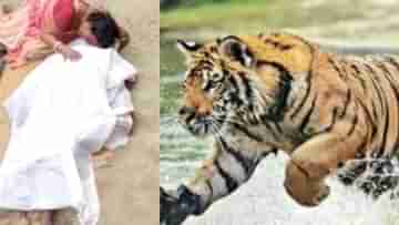 Sundarban: লকলকে জিভ, ক্ষুধার্ত চোখ নিয়ে ঝাঁপ নৌকায়, সুন্দরবনে বাঘে-মানুষে ভয়ঙ্কর লড়াই