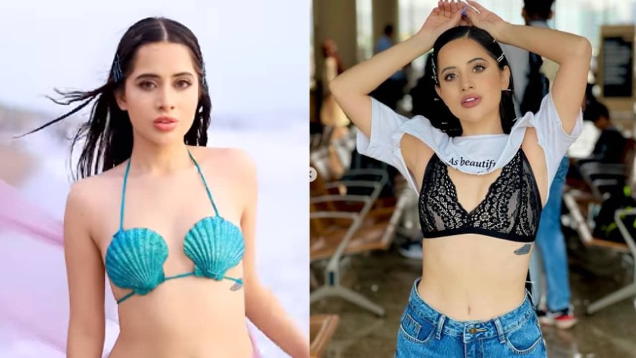 Viral Video: সমুদ্র সৈকতে ঝিনুকে ঢাকা বক্ষযুগল উরফির, আর নীচে? প্রশ্ন ট্রোলাদের