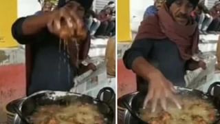 Viral Video: একগুচ্ছ কোবরা পেঁচিয়ে রয়েছে গাছে! সাপের ভিডিয়ো দেখে আঁতকে উঠলেন নেটিজ়েনরা