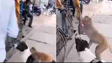 Viral Video: কুকুরের পিঠে চড়ে চিপসের প্যাকেট চুরি করছে বাঁদর! এমন বন্ধুত্ব দেখে হতবাক নেটপাড়া