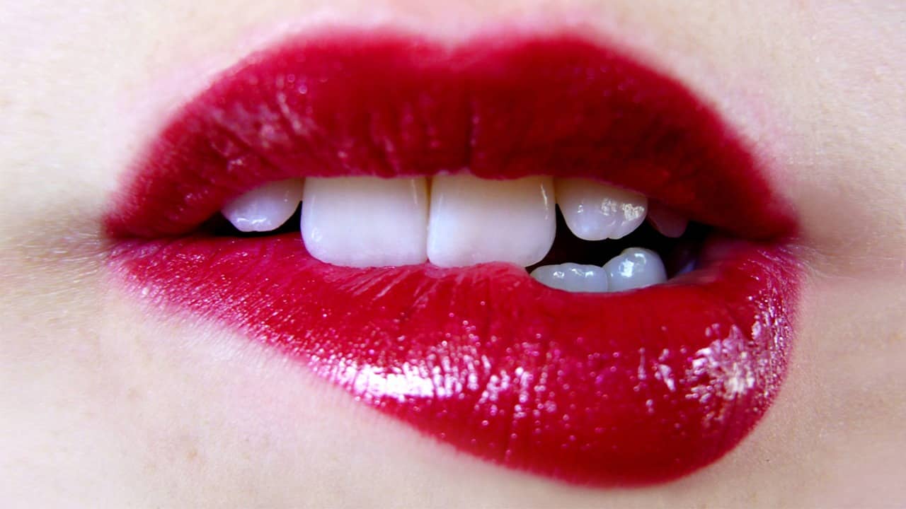 Russian Couple Controversy: নগ্ন ফটোশ্যুট গাছের নিচে, নির্বাসিত রাশিয়ান দম্পতি