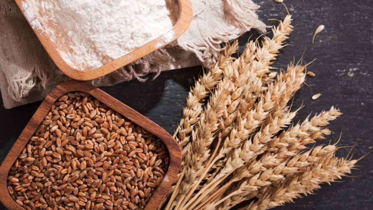 Wheat Export: রেকর্ড হারে বেড়েছে আটার দাম, এবার বড় সিদ্ধান্ত কেন্দ্রের