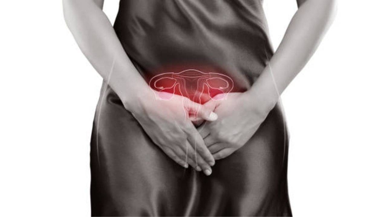 «Белый түндер» орыс порносын көріңіз.