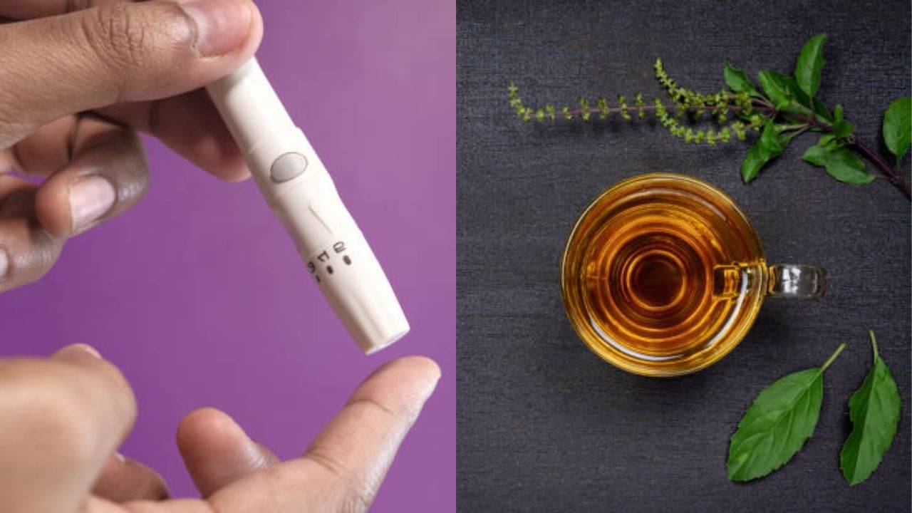 Diabetes: তুলসী পাতার গুণে বাড়বে না আর সুগার! বলছে আয়ুর্বেদ