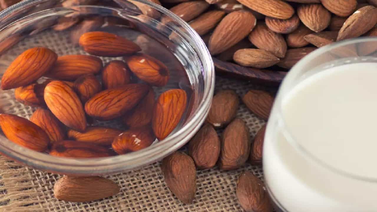Almond Skin Benefits: রোজ সকালে আমন্ড তো খান, কিন্তু ভুলেও খোসা ছাড়াবেন না! Almond Skin Benefits: রোজ সকালে আমন্ড তো খান, কিন্তু ভুলেও খোসা ছাড়াবেন না!