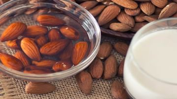 Almond Skin Benefits: রোজ সকালে আমন্ড তো খান, কিন্তু  ভুলেও খোসা ছাড়াবেন না!