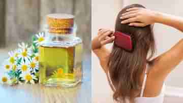 Hair Oil: চুলের ফ্রিজিনেস দূর করতে চান? Chamomile তেলের দুফোঁটাতেই হবে কামাল