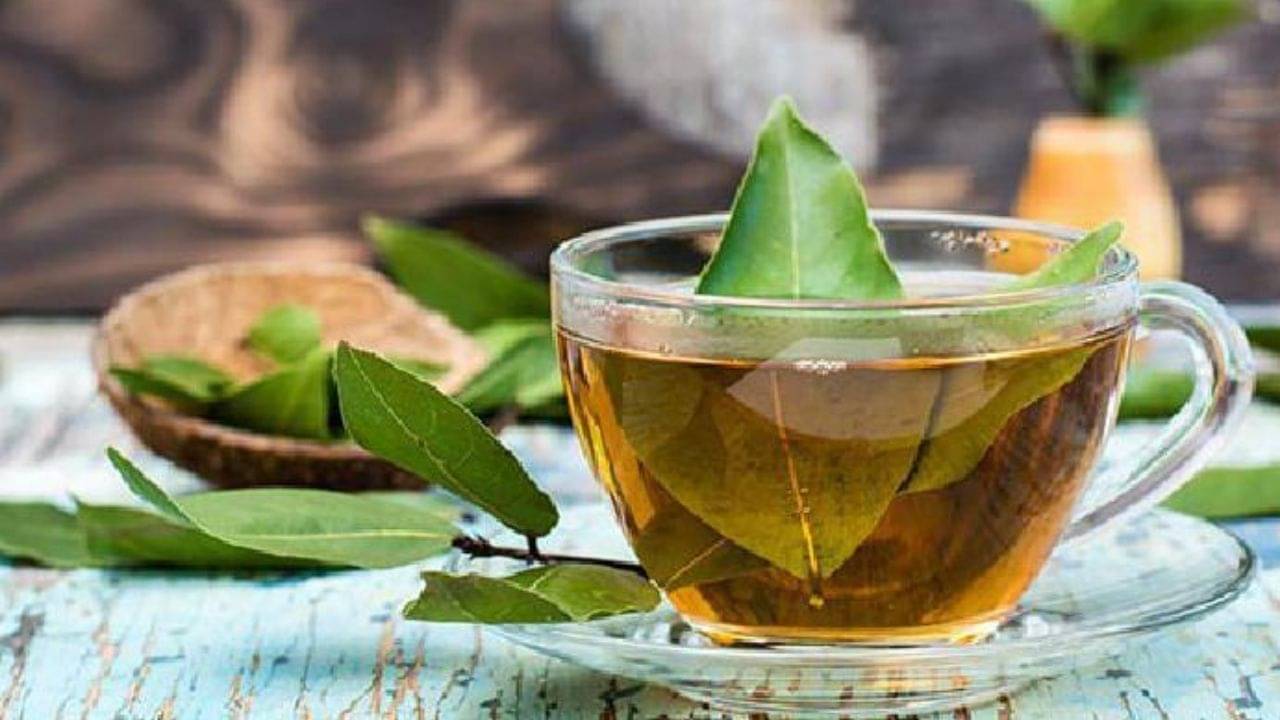 Weight Loss: তেজপাতার তেজেই ঝরবে ওজন! রোজ তেজপাতার জল পান করলেই গলবে পেটের মেদ - Bengali News | Drink bay leaf water daily and watch the magic it does for you | TV9 Bangla News