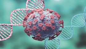 Coronavirus: উত্তর কোরিয়ায় ভয় ধরাচ্ছে কোভিড, বাড়ছে মৃত্যুর সংখ্যাও! যে সব উপসর্গ থেকে সতর্ক থাকবেন Coronavirus: উত্তর কোরিয়ায় ভয় ধরাচ্ছে কোভিড, বাড়ছে মৃত্যুর সংখ্যাও! যে সব উপসর্গ থেকে সতর্ক থাকবেন