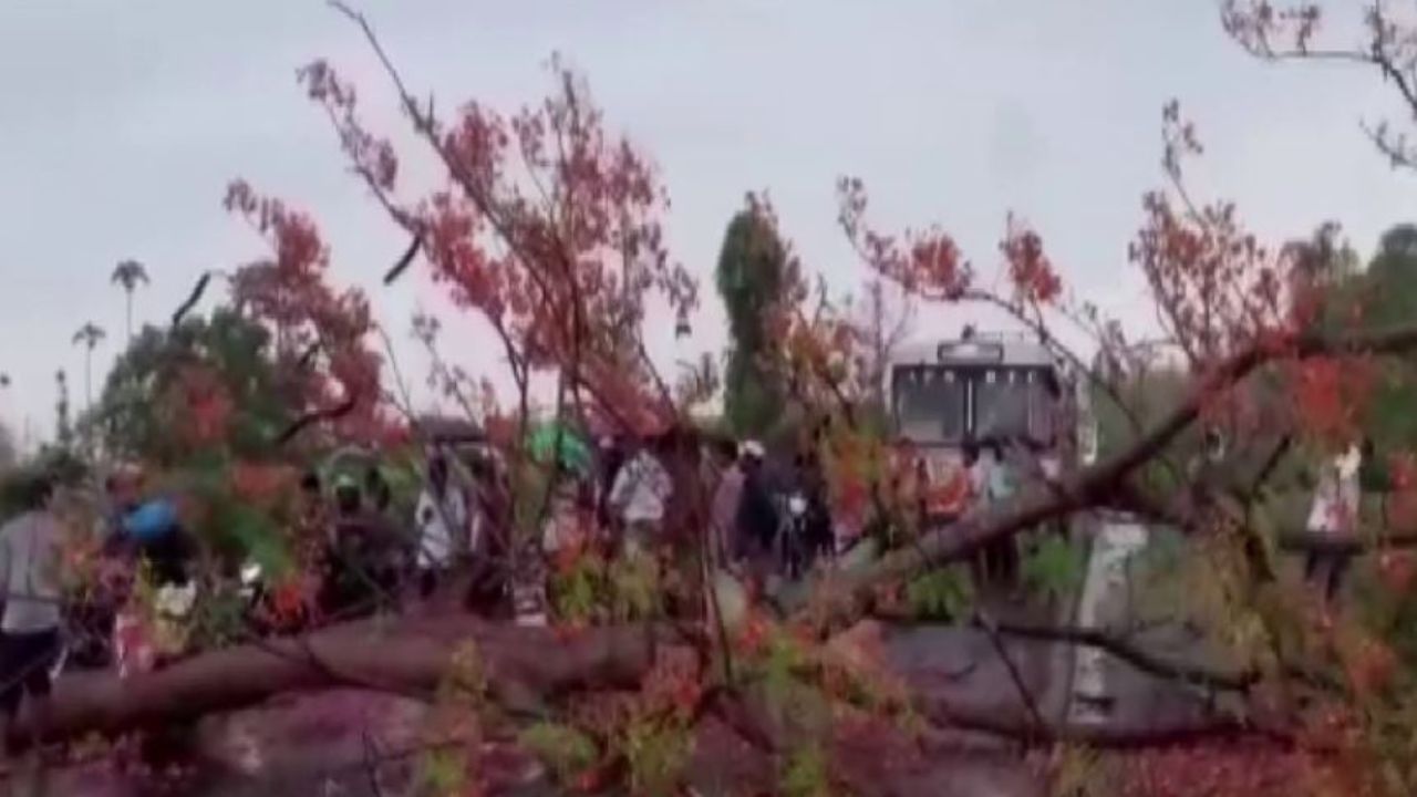 Cyclone Asani Update: শক্তি হারালেও পিছু ছাড়ছে না 'অশনি', কতদিন চলবে ঝড়-বৃষ্টি, জানাল হাওয়া অফিস