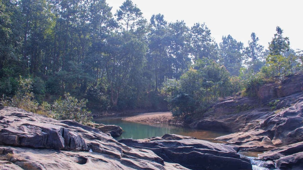 Sunday Special Trip: গন্তব্য হোক বেলপাহাড়ির কোলে ঢাঙিকুসুম! একবেলা কাটিয়ে আসুন বাংলার সবুজে ঘেরা জঙ্গলে