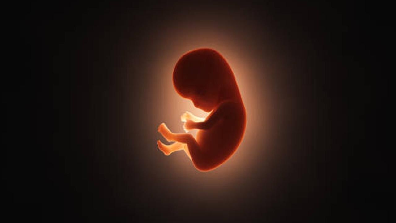 Fetus in Fetu: ৪০ দিনের শিশুর পেটে ভ্রূণ! ঘটনায় অবাক চিকিৎসকেরা