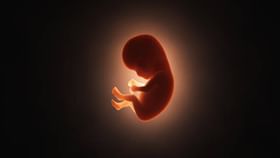 Fetus in Fetu: ৪০ দিনের শিশুর পেটে ভ্রূণ! ঘটনায় অবাক চিকিৎসকেরা Fetus in Fetu: ৪০ দিনের শিশুর পেটে ভ্রূণ! ঘটনায় অবাক চিকিৎসকেরা