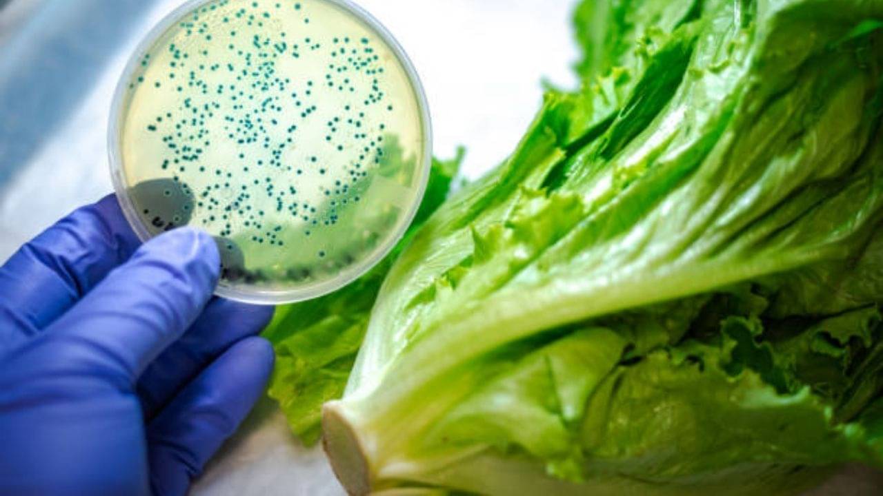 Food Science: বিজ্ঞানের সাহায্যে পুষ্টি সুরক্ষা এবং প্রোটিনের পর্যাপ্ততার অনেকটাই কাছাকাছি