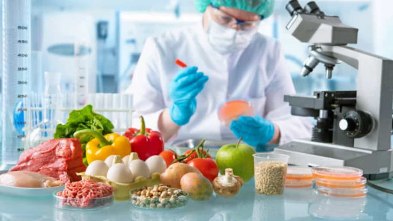 Food Science: খাদ্য বিজ্ঞান কি পুষ্টির নিরাপত্তা নিশ্চিত করতে পারে? বিশেষজ্ঞরা কী বলছেন, জানুন Food Science: খাদ্য বিজ্ঞান কি পুষ্টির নিরাপত্তা নিশ্চিত করতে পারে? বিশেষজ্ঞরা কী বলছেন, জানুন
