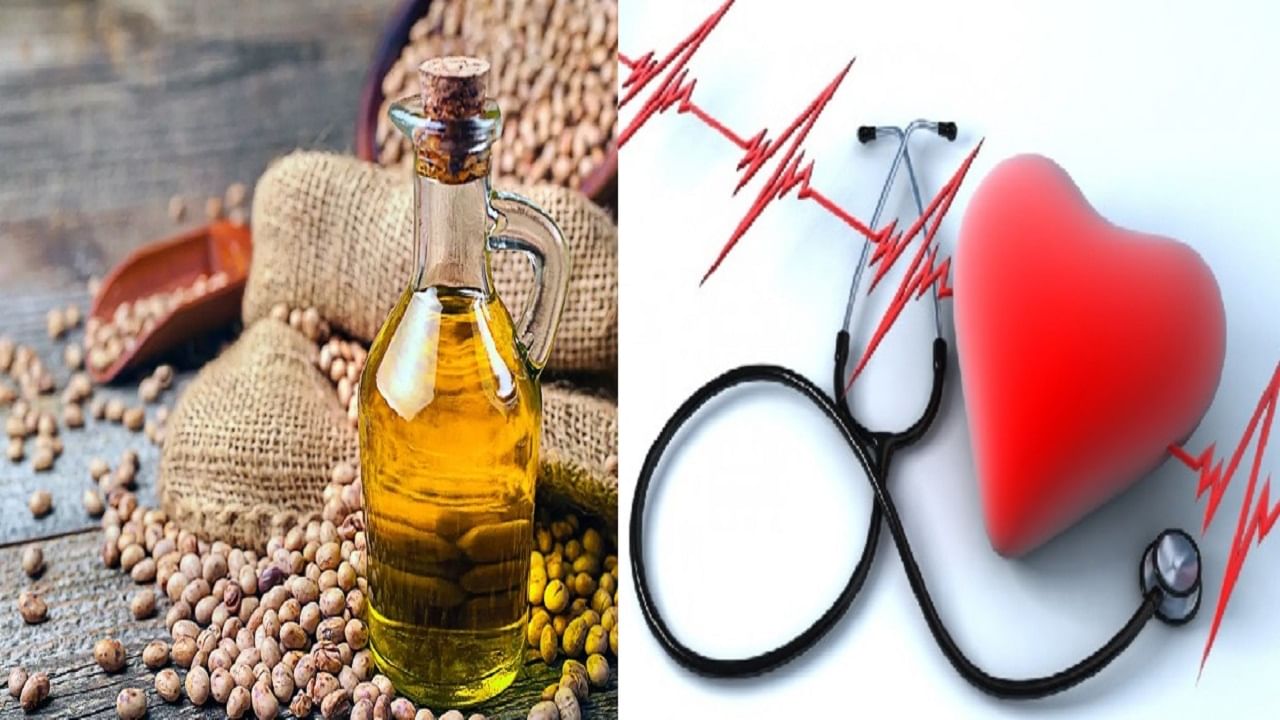 Cooking Oil And Heart Health: পরিবারে হৃদরোগ রয়েছে? রান্নার জন্য মাসে কতটা তেল ব্যবহার করা উচিত, পরামর্শ চিকিৎসকদের