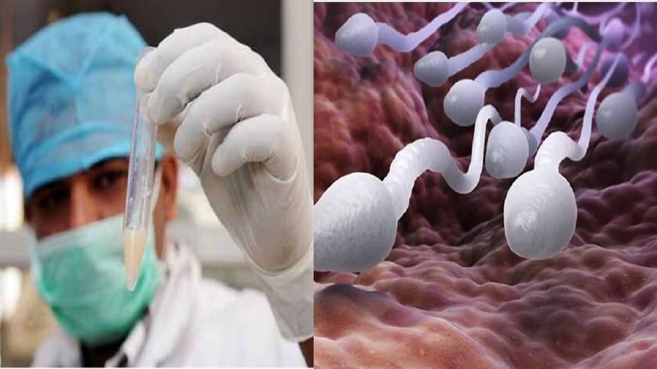 Jinsiy aloqa Prostokvashino