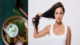 Ayurvedic Hair Care: চুল পড়ার সমস্যায় ম্যাজিকের মত কাজ করবে এই ড্রিংক, একবার খেয়েই দেখুন Ayurvedic Hair Care: চুল পড়ার সমস্যায় ম্যাজিকের মত কাজ করবে এই ড্রিংক, একবার খেয়েই দেখুন