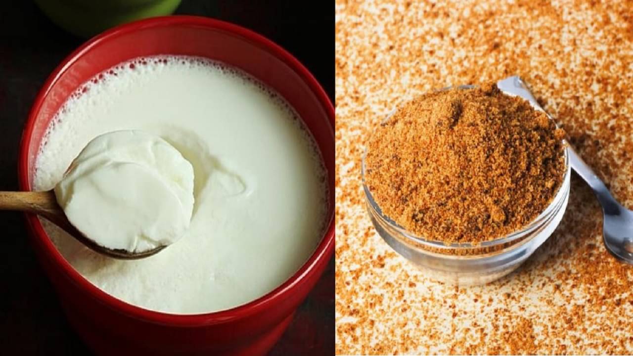 Health Tips: গরমে টক দই উপকারী, কিন্তু এর সঙ্গে মিশিয়ে নিন সামান্য এই জিনিসটি, উপকার মিলবে বলে বলে!