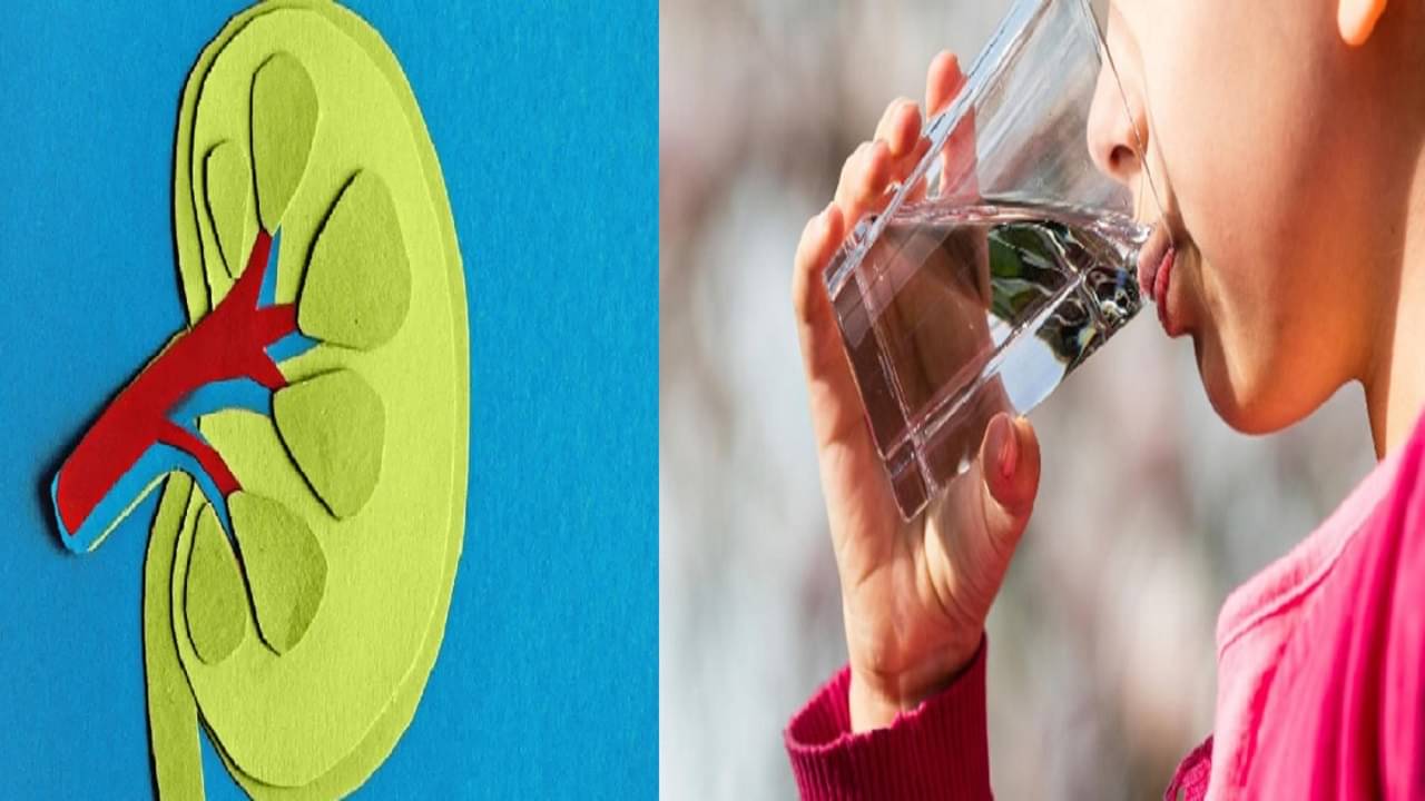 Kidney Stone: গরমে কিডনি স্টোন ঠেকাতে বেশি করে জল খান, পরামর্শ বিশেষজ্ঞদের...