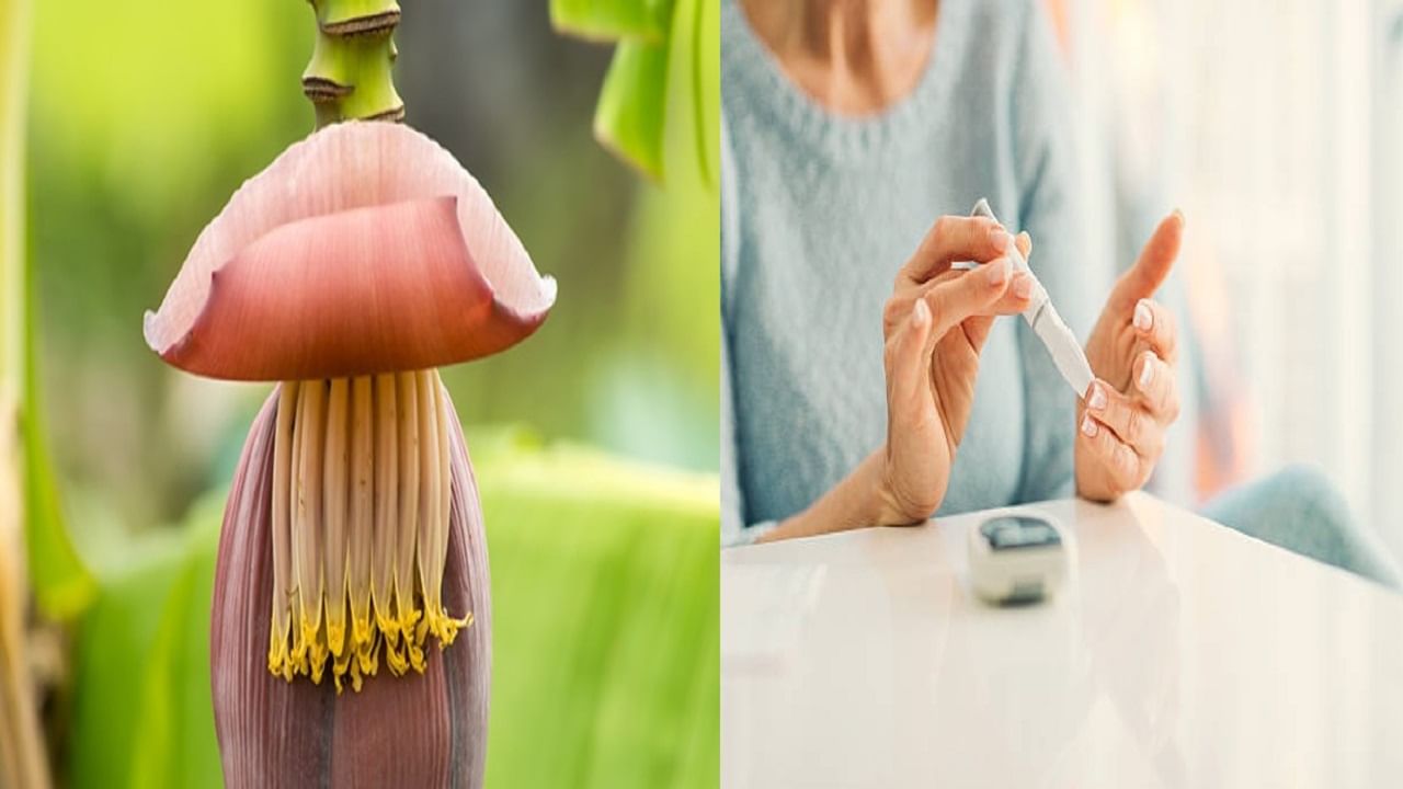 Banana flower for Diabetes মোচার ঘন্টই সুগারের যম! যা বলছে নয়া