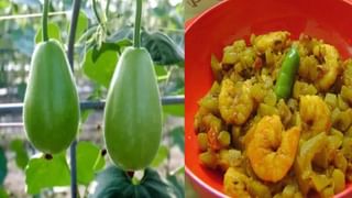 Recipe: ফ্রিজে থাকবে একমাস! এবার বাড়িতেই তৈরি করুন নরম তুলতুলে খোয়া ক্ষীর