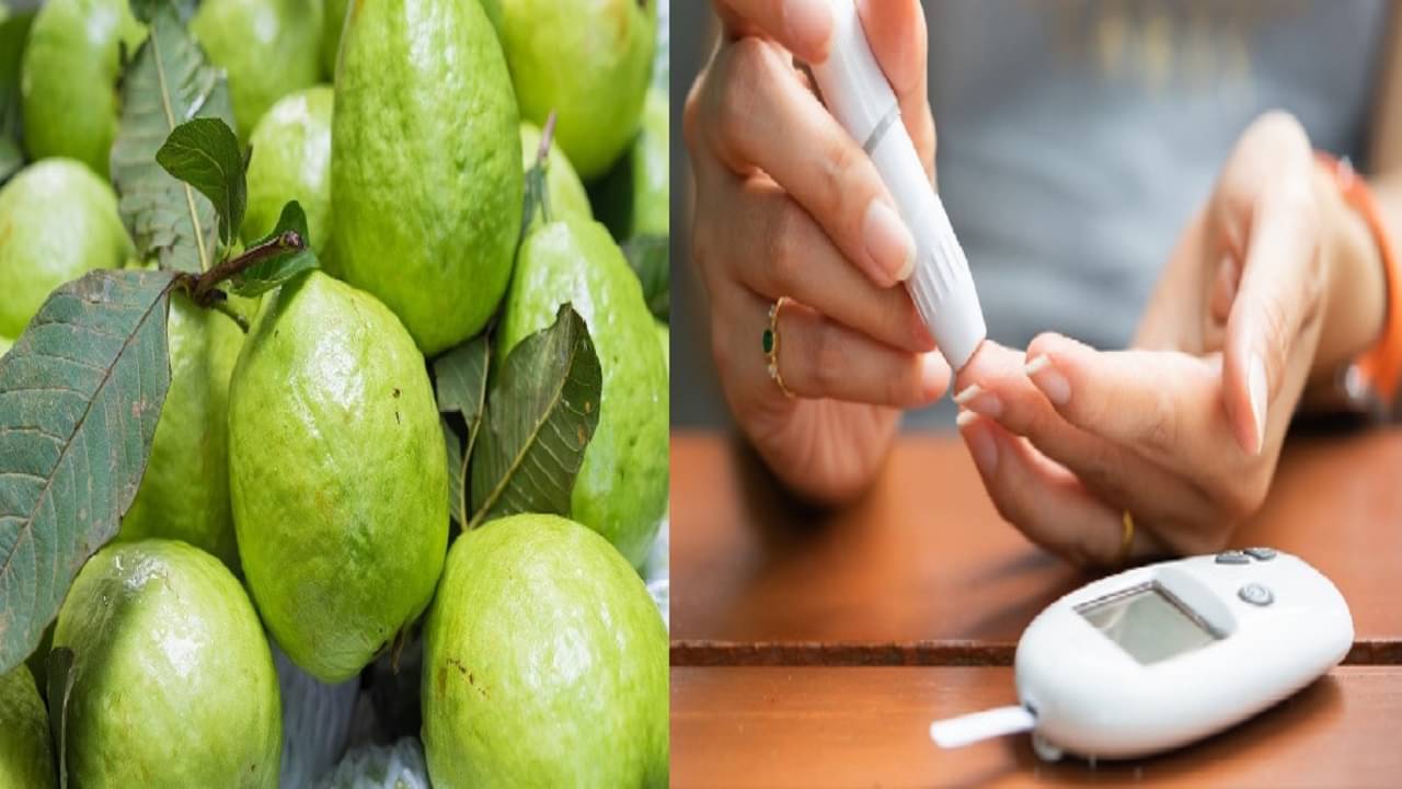 Guavas For Diabetes: আপেল নয়, এই ভাবে রোজ পেয়ারা খান! অসুখ-বিসুখের থেকে দশ হাত দূরে থাকবেন...