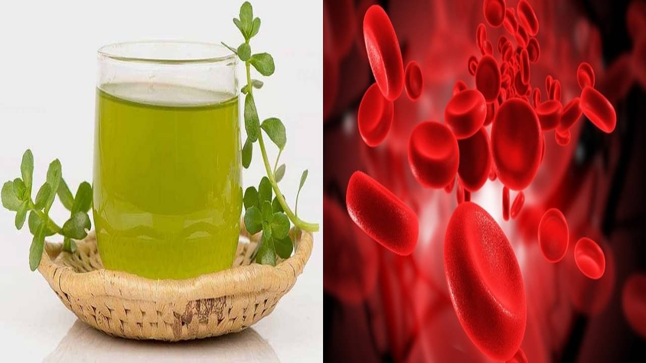 Ayurveda: শুধুই মগজে শান নয়, শরীরের নানা প্রয়োজনেও কাজে লাগে এই ভেষজ! জানতেন...