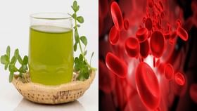 Ayurveda: শুধুই মগজে শান নয়, শরীরের নানা প্রয়োজনেও কাজে লাগে এই ভেষজ! জানতেন... Ayurveda: শুধুই মগজে শান নয়, শরীরের নানা প্রয়োজনেও কাজে লাগে এই ভেষজ! জানতেন...