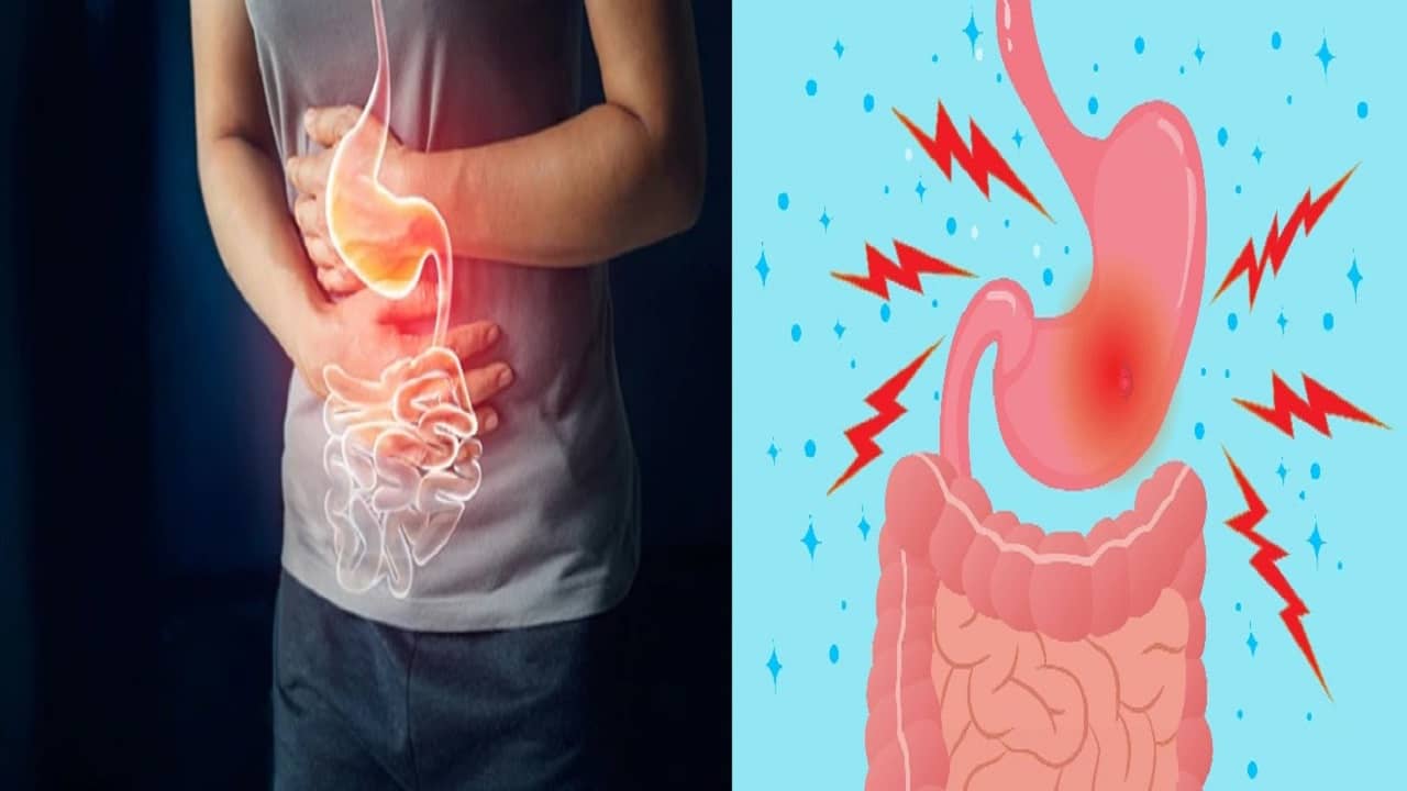 Digestive diseases: রোজ খাবার খাওয়ার পরই বুক জ্বালা, অ্যাসিডিটি? আয়ুর্বেদ টিপস মানলে উপকার পাবেন...