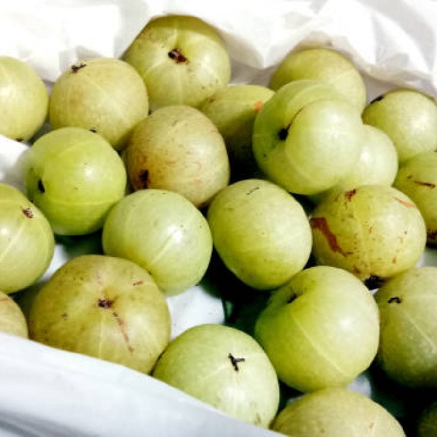 ভিটামিন সি-এর ভাণ্ডার হল আমলকী। খালি পেটে আমলকী খেলে শরীরের একাধিক ব্যাধি দূর হয়ে যায়। এতে হৃদরোগের ঝুঁকি হ্রাস পায়। এর পাশাপাশি লিভার সুস্থ থাকে। শরীরকে সুস্থ রাখতে এই ফলের অনেক গুণ।