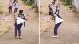 Viral Video: কী কাণ্ড! ফনা তুলে প্রাণায়ম করছে ভয়ঙ্কর কিং কোবরা, হার মানাতে পারে যোগগুরুদেরও