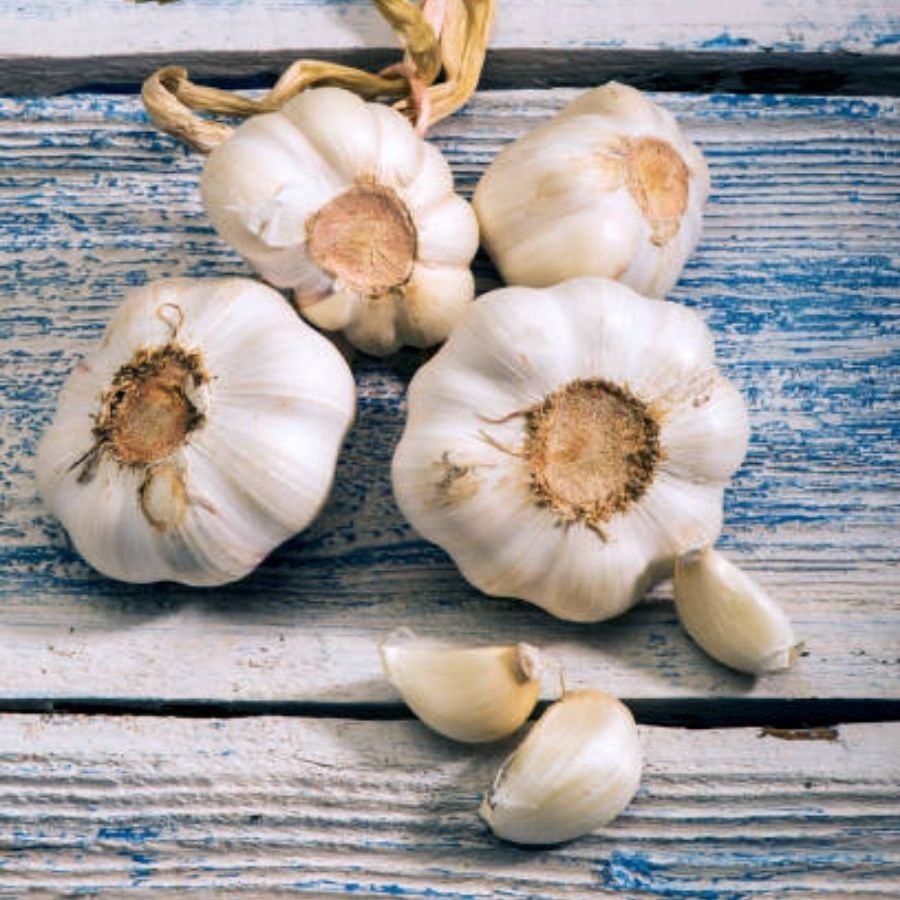 নুনের পরিবর্তে রসুন খাওয়া উচিত। এটি শুধু খাবারের স্বাদই বাড়ায় না, এর পুষ্টিগুণও অনেক। এটি ম্যাঙ্গানিজ, ভিটামিন সি এবং ভিটামিন বি-৬ এর একটি ভাল উৎস এবং এতে সালফার যৌগ রয়েছে, এটি হল প্রদাহ বিরোধী বৈশিষ্ট্য রয়েছে।