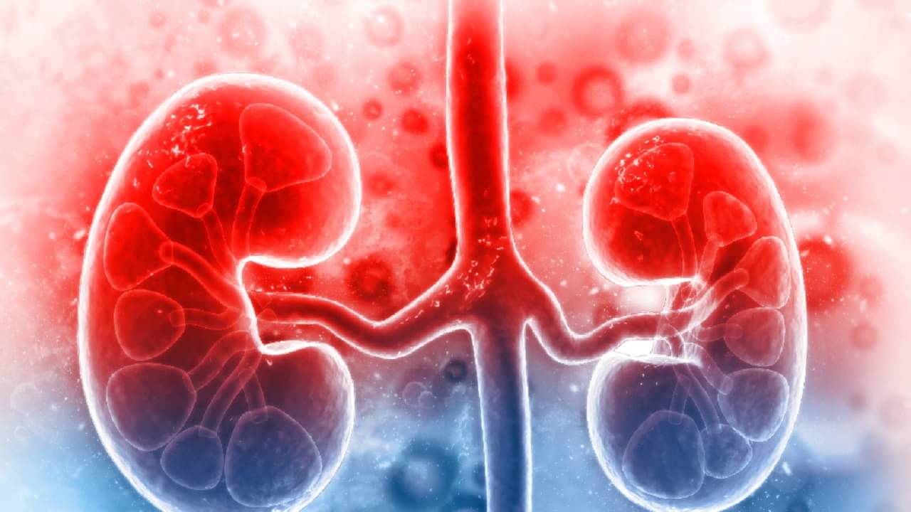 Chronic Kidney Disease: কেন মহিলাদের মধ্যেই ক্রনিক কিডনির সমস্যা বেশি হয়? এই সব লক্ষণ দেখলে সচেতন হন আজই...