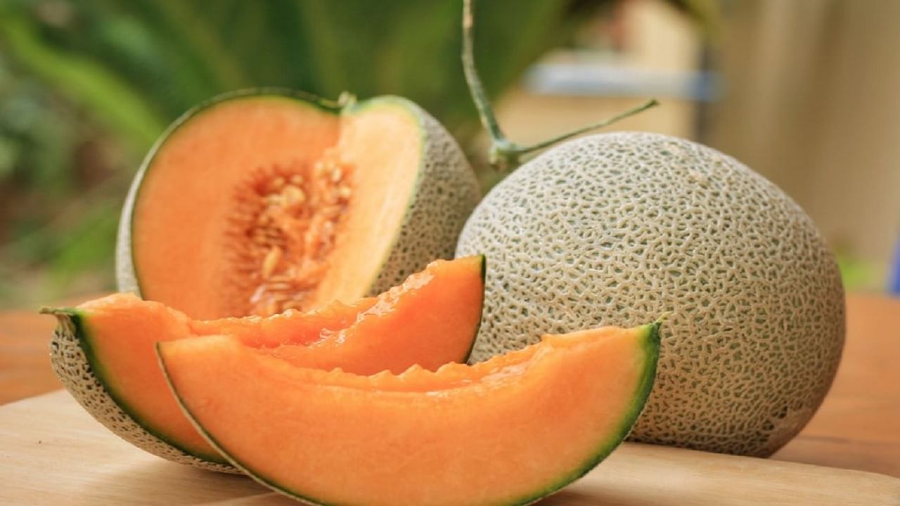 muskmelon