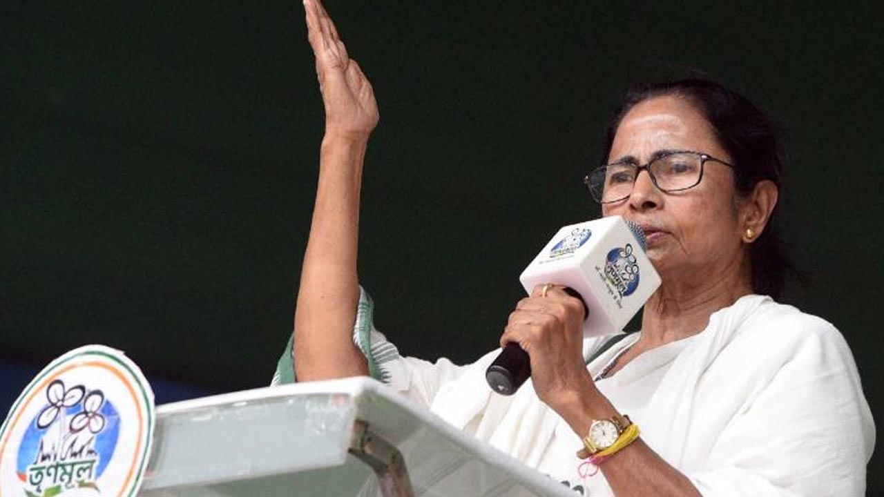 Mamata Banerjee: আমার লোক হলে আমি চারটে চড় মারতাম, আপনি কী করছেন? মমতার তোপে জেলাশাসক