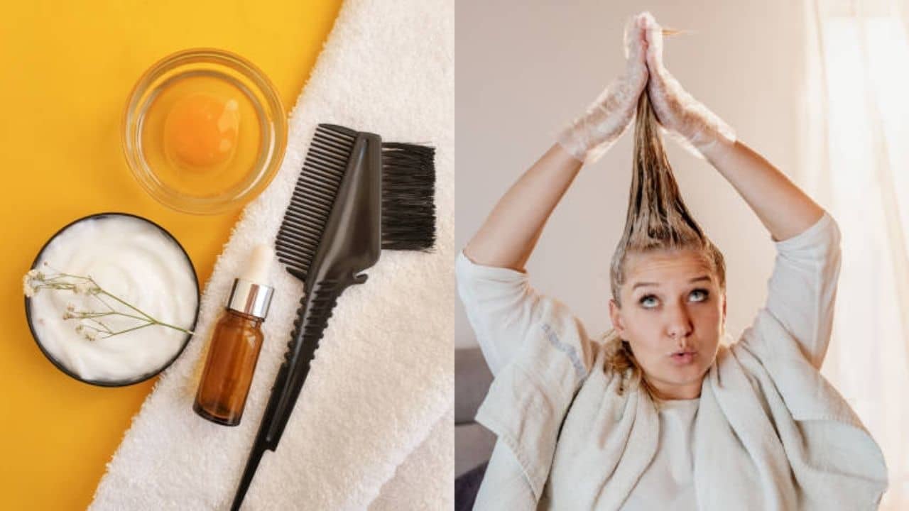 Hair Mask: বর্ষা আসার আগেই সামলে নিন চুলকে! পার্লারের খরচ বাঁচিয়ে বাড়িতে বানান হেয়ার মাস্ক