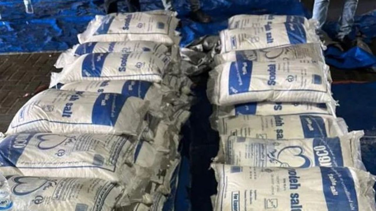 Drug Seized from Mundra Port: স্বাদ নয়, নেশা ধরাবে নুন! 'অপারেশন নমকিনে'ই ফাঁস নুনের প্যাকেটের রহস্য