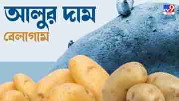 Potato Price Hike : দামের ছ্যাঁকায় আলু সেদ্ধ বাঙালি, কোথায় দোষ? জানুন