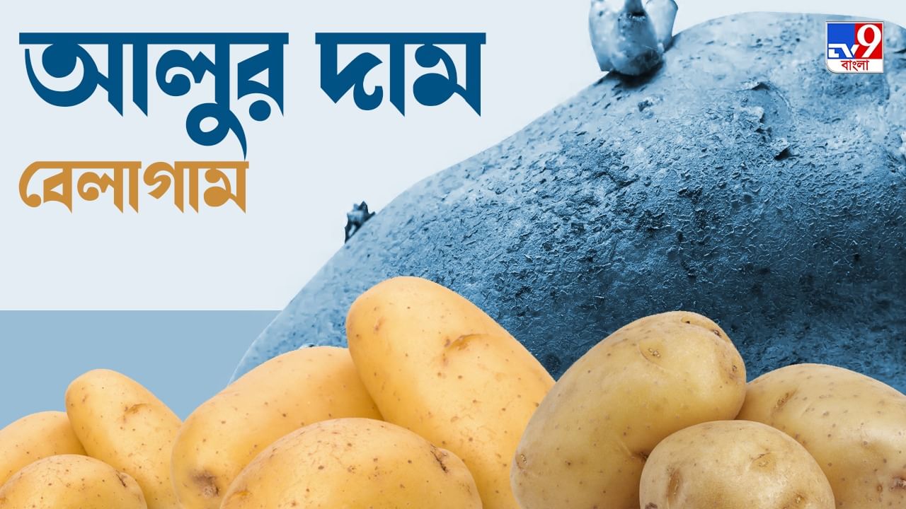 Potato Price Hike : দামের ছ্যাঁকায় 'আলু সেদ্ধ' বাঙালি, কোথায় দোষ? জানুন