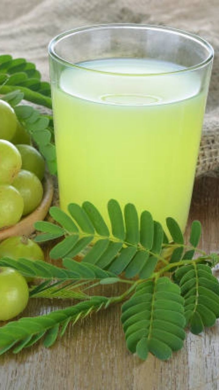 How to Make Amla Sharbat Recipe at Home