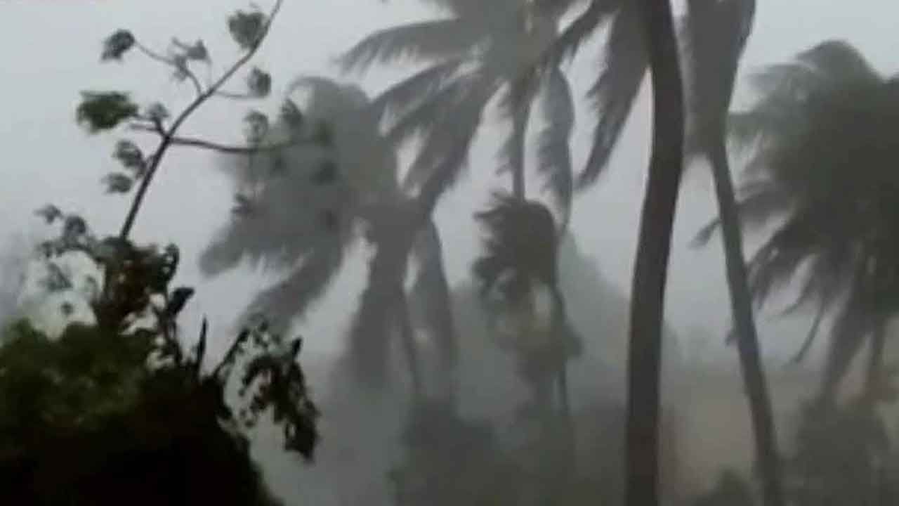 Coochbehar Storm: প্রবল ঝড় শুরু, প্রাণ বাঁচাতে খাটের নিচে ঢুকে পড়ল পরিবার, ঘরের উপর পড়ল আম গাছ