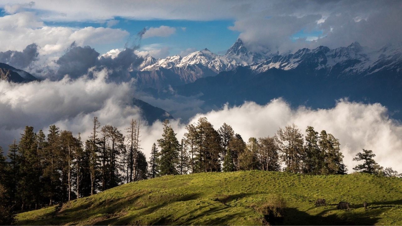 Uttarakhand: পর্যটকদের জন্য দারুণ খবর! কুমায়ুন রেঞ্চে নয়া ১৭টি ট্যুরিস্ট স্পটের নাম ঘোষণা করল উত্তরাখণ্ড