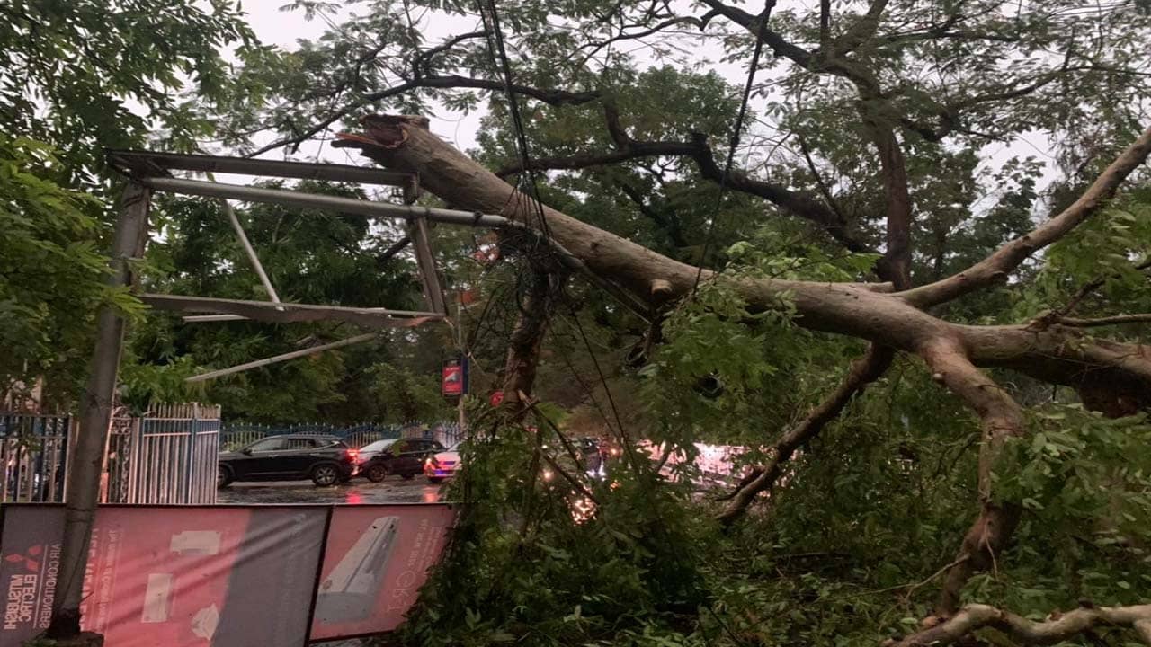 Kalbaishakhi: শনির কালবৈশাখী প্রাণ কাড়ল ২ জনের, ব্যাহত মেট্রো, বিমান পরিষেবা